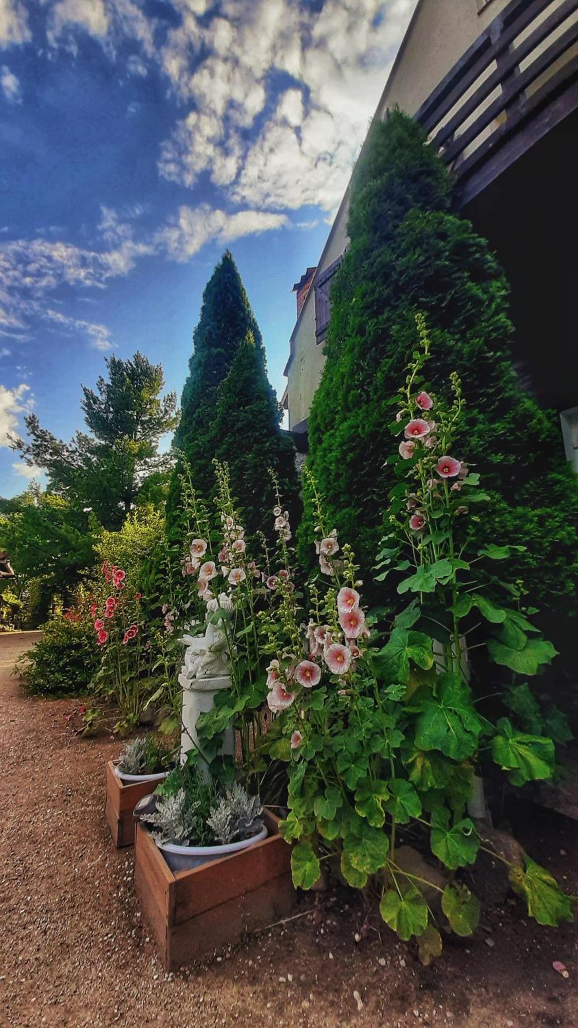 Ferienwohnung Straznica Komtura Mikołajki Exterior foto